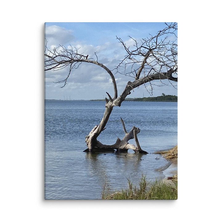 Serenity's Edge Canvas product image (3)