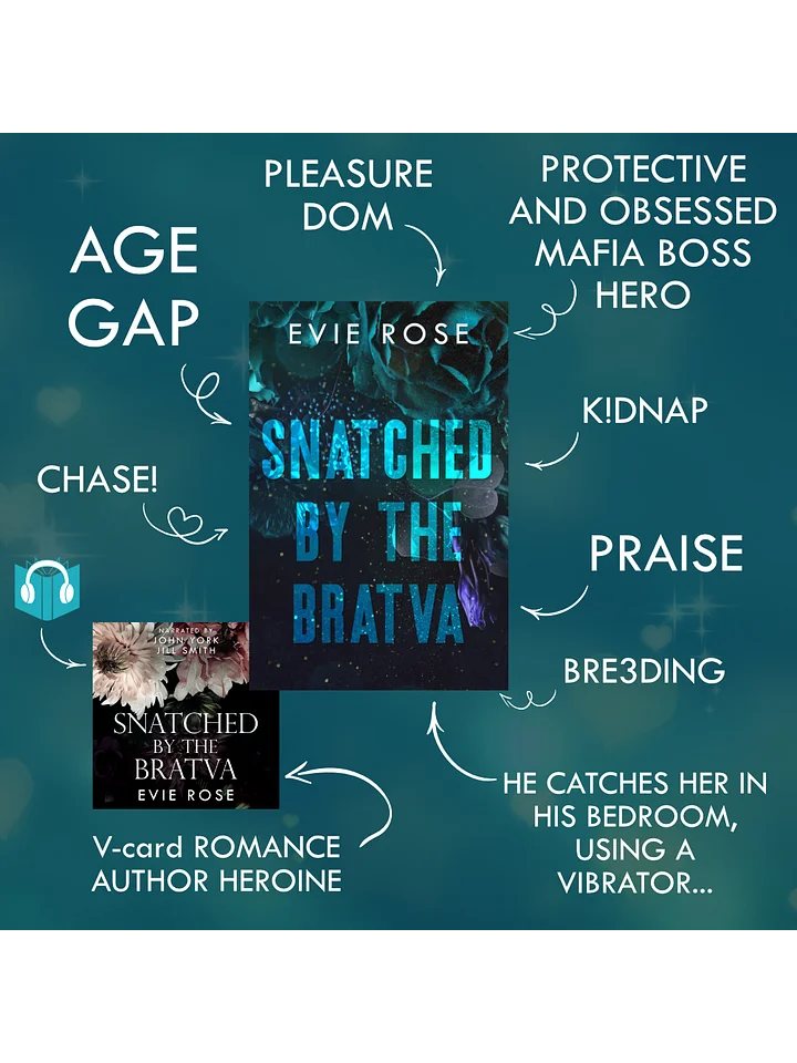 Snatched by the Bratva product image (2)