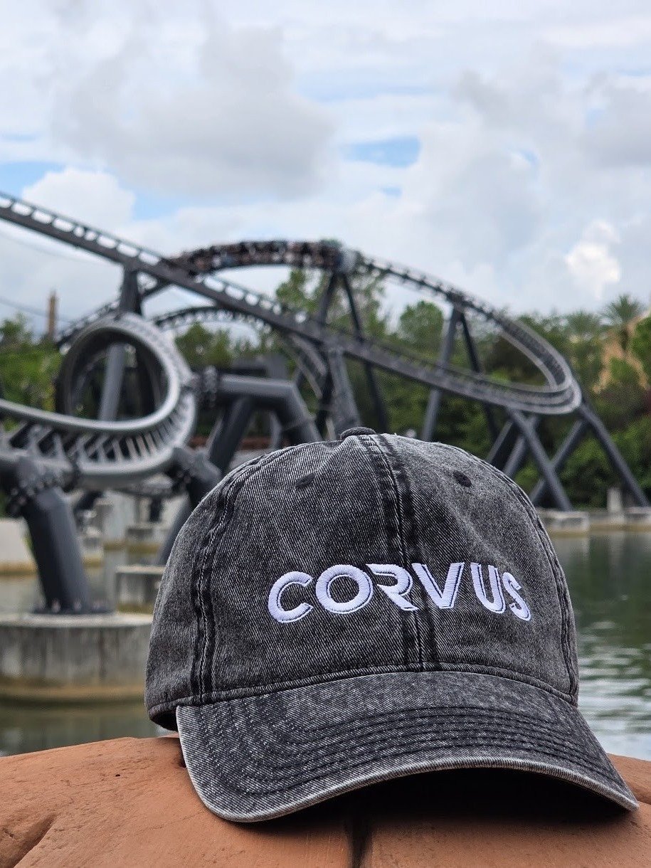 LOGO CAP product image (3)