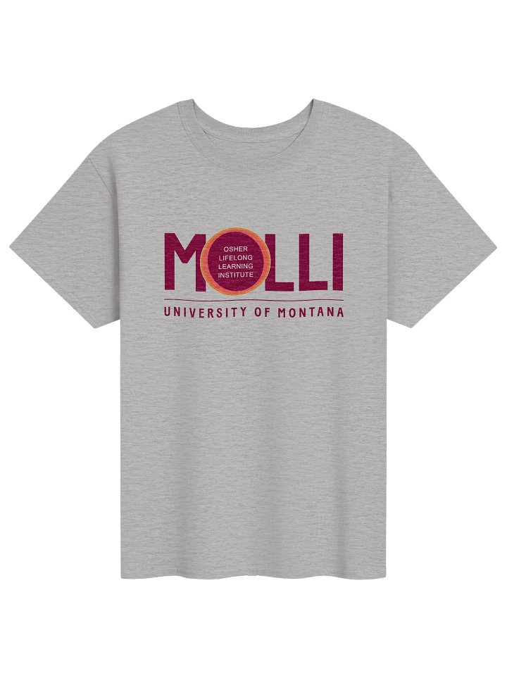 MOLLI Short Sleeve Tee - Gray product image (1)