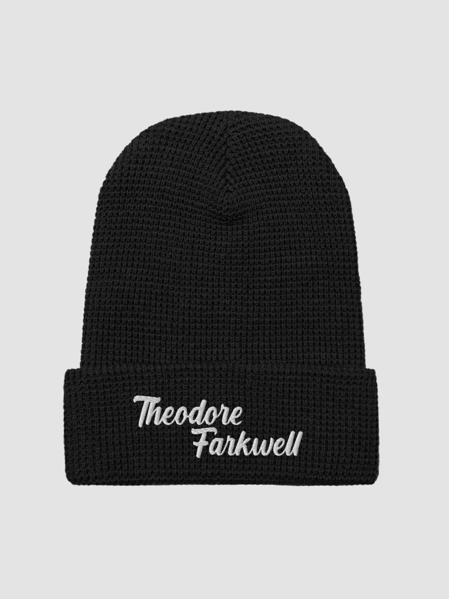 THEODORE FARKWELL BEANIE product image (3)