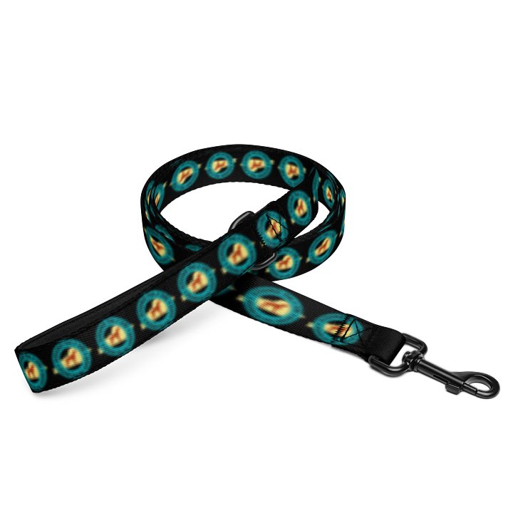 Dog Leash product image (1)