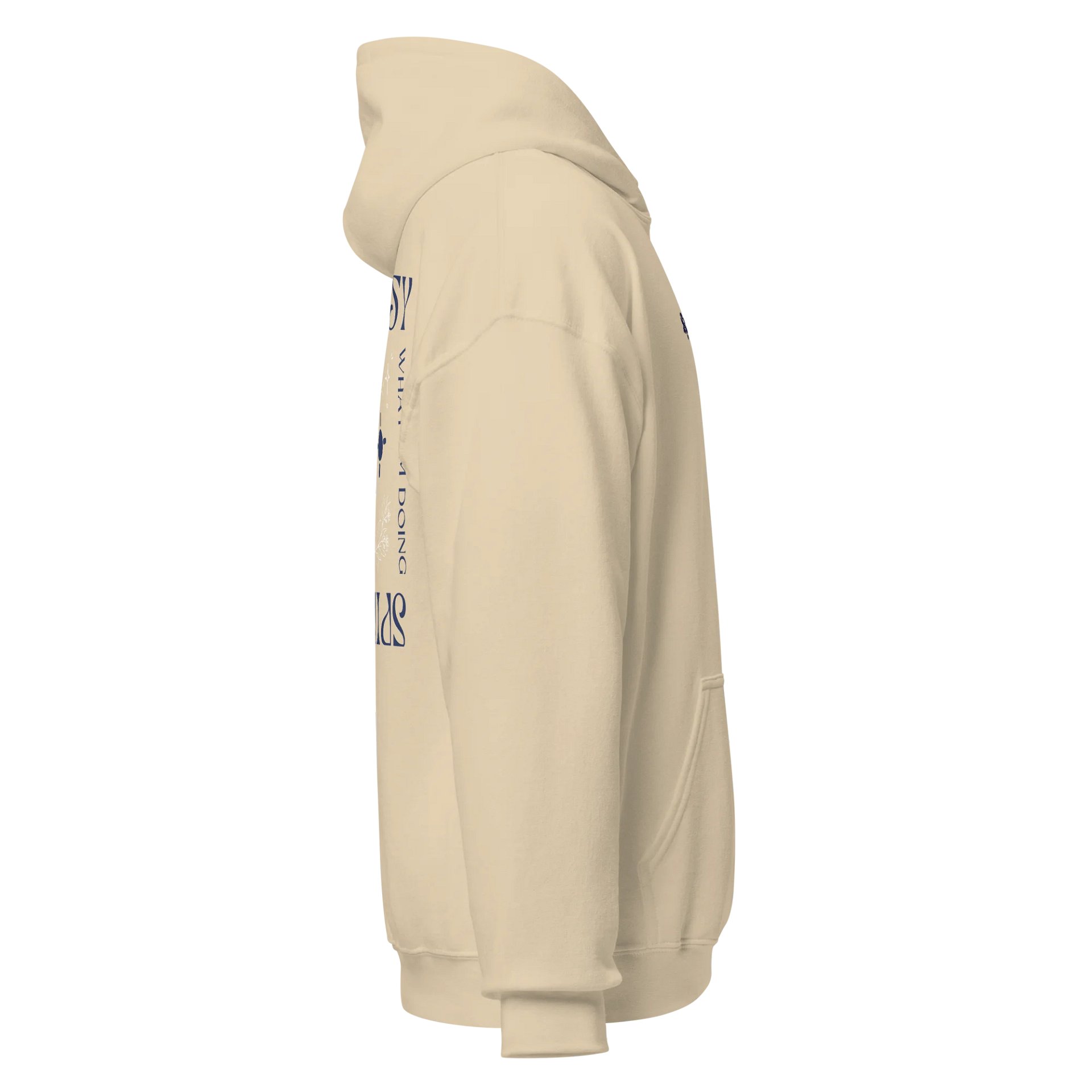 'Bold, Blue, Bobby' Hoodie product image (4)