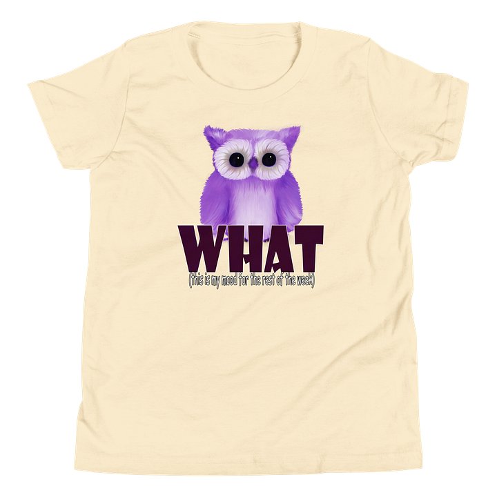 Youth Short Sleeve T-Shirt - Bella+Canvas product image (11)