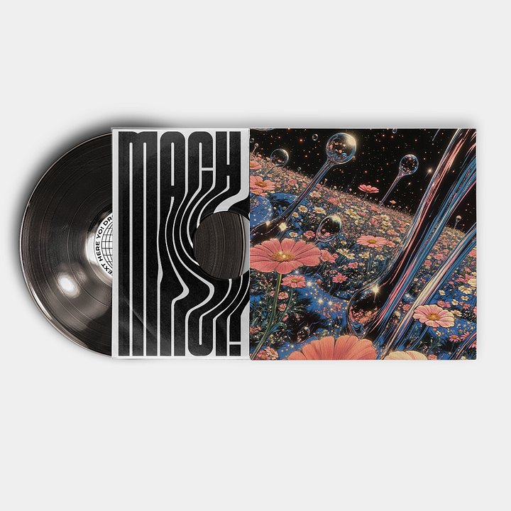 Vinyl Records Mockup Vol.1 (PSD) product image (2)