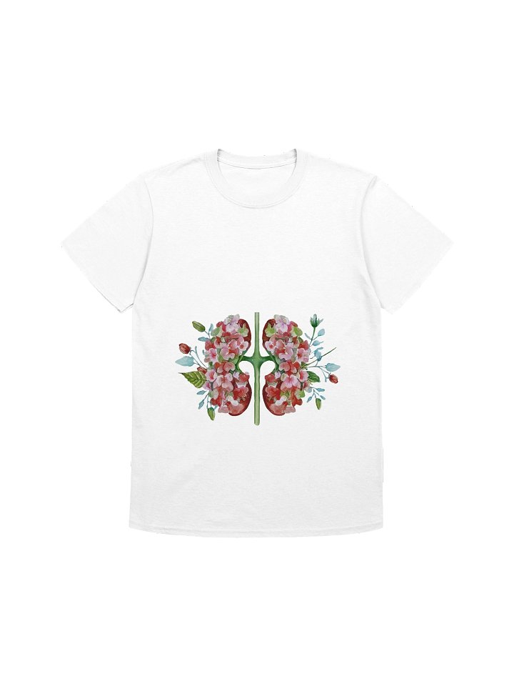 Botanical Anatomy Kidney Illustration product image (1)