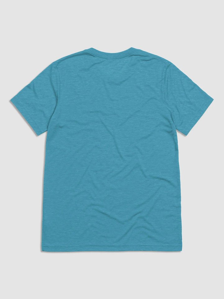Joyful Earth Triblend T-Shirt product image (18)