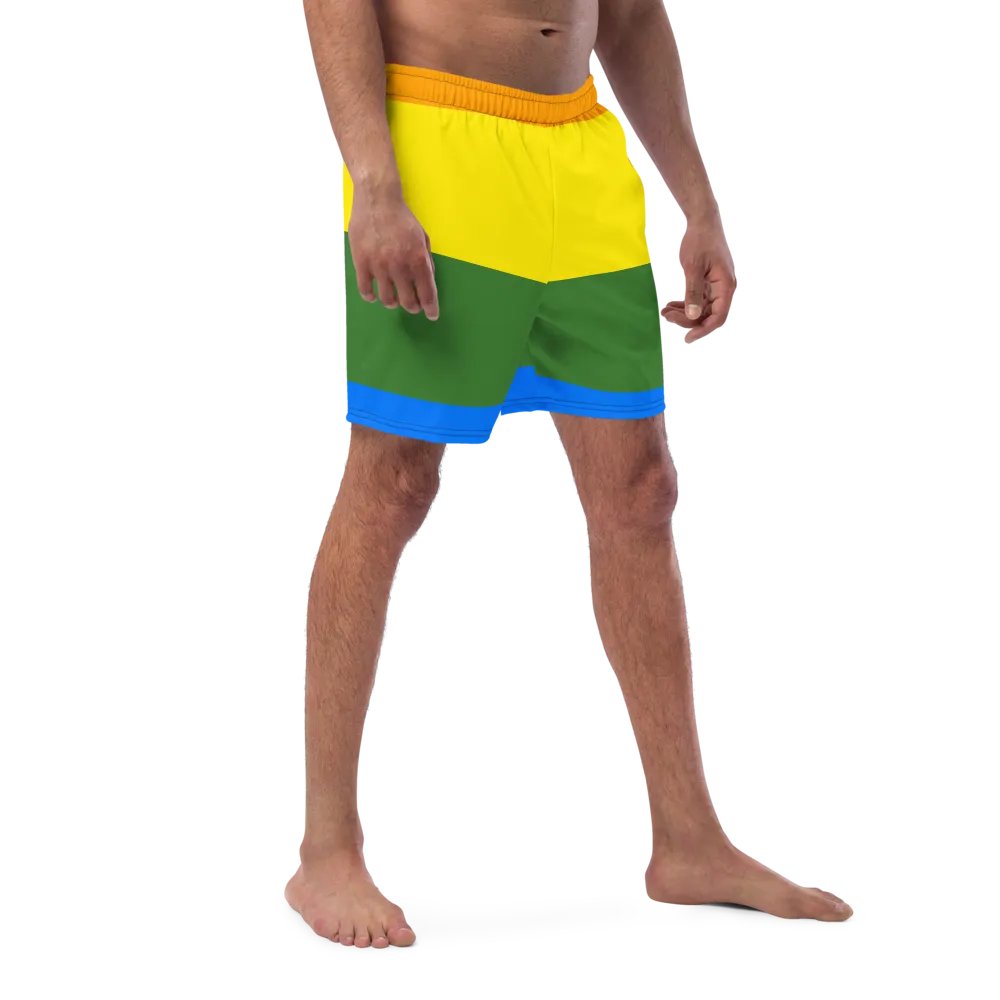Sunset Stripes All-Over Swim Shorts product image (3)