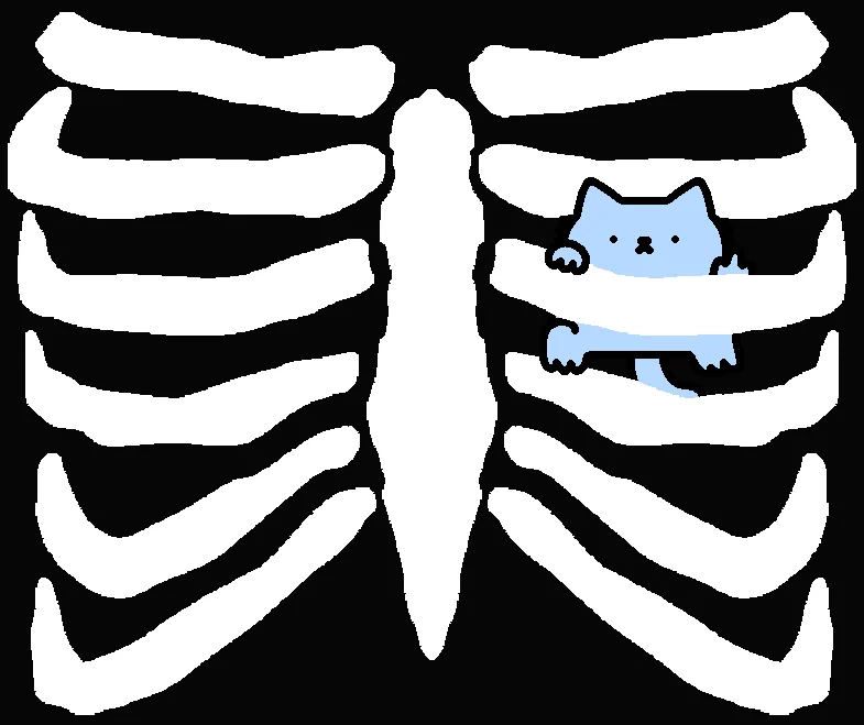 rib tee💀 product image (2)