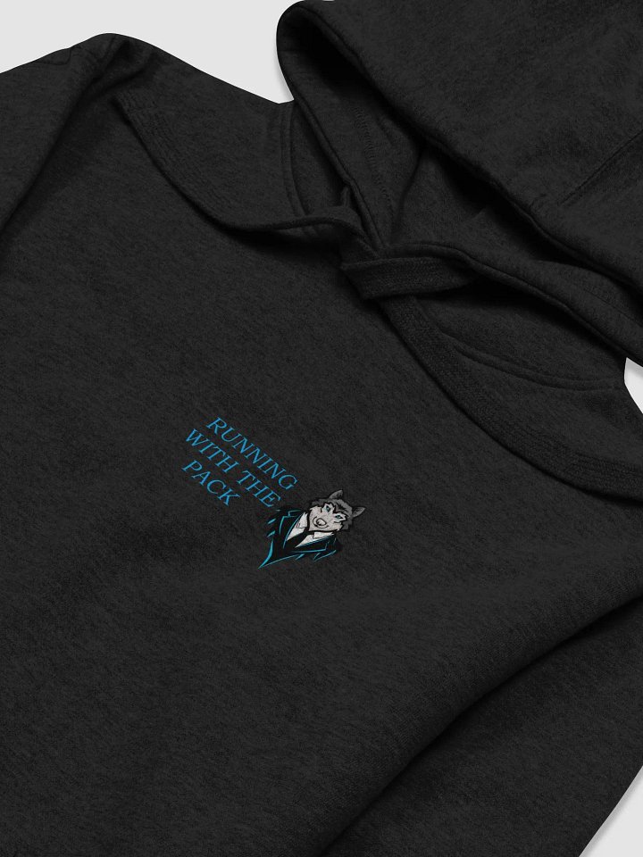 RWTP Hoodie product image (1)