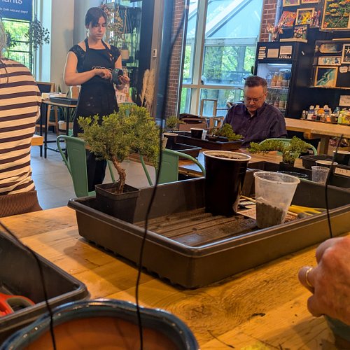 Bonsai class with my mom at Craft Loft 😁🌳 Thanks for the gift certificates Nick & Sabrina! ♥️