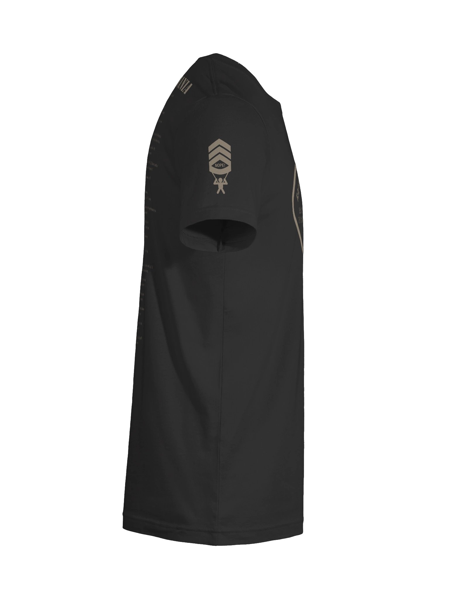 Rapture Veteran Tee product image (12)