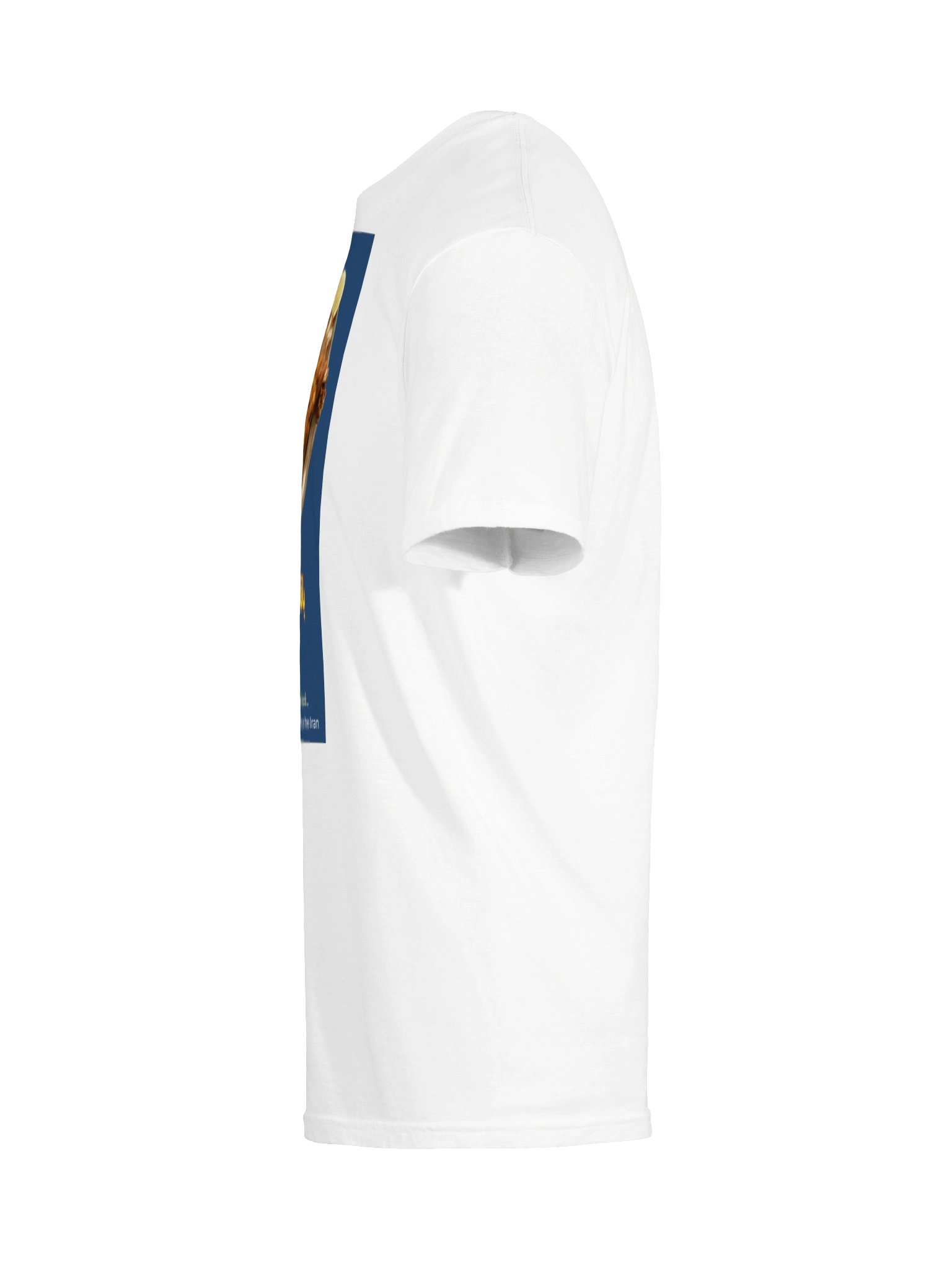 The Lamb (Bāghālī Polo bâ Gardan) product image (15)