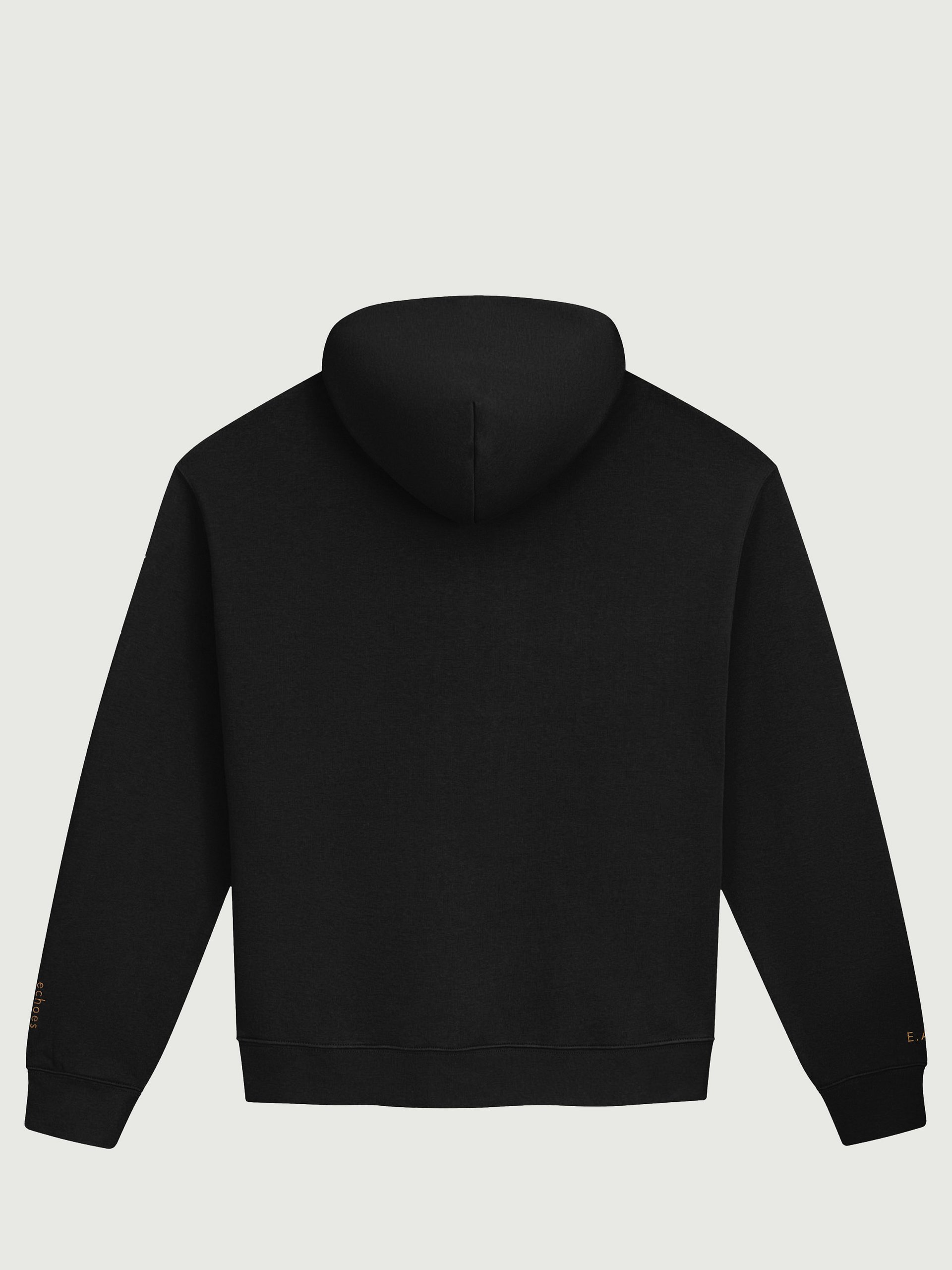 echoes remain — E.A.P. | Unisex Heavyweight Hoodie product image (4)