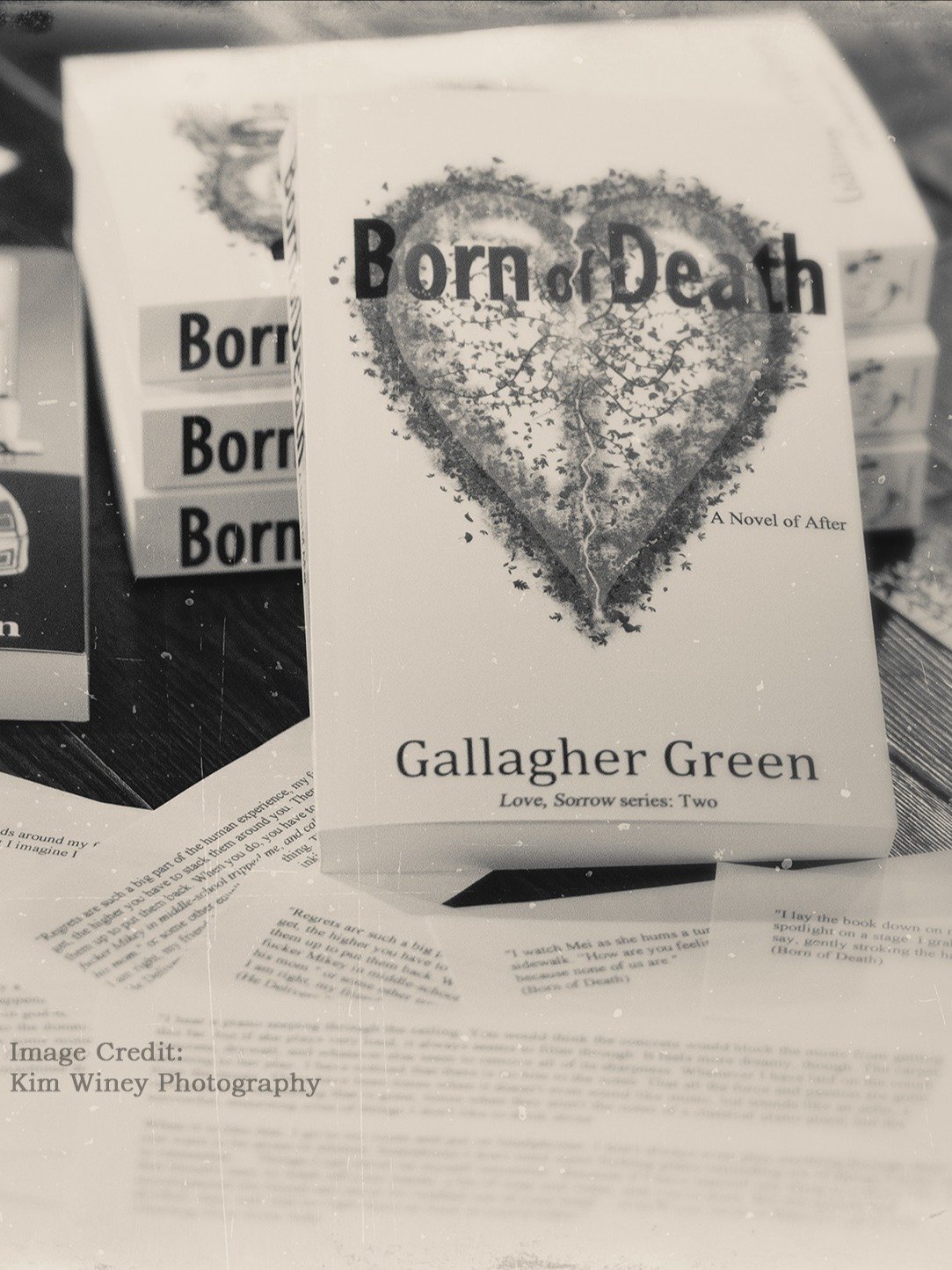 Born of Death: A Novel of After. Love, Sorrow Series, Book Two product image (3)