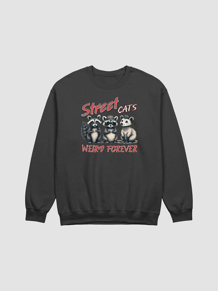 Street Cats Weird Forever Raccoon Crewneck product image (1)