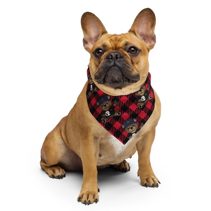 Survivalists Espen Bandana product image (1)