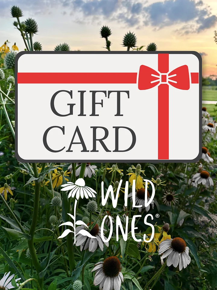 Wild Ones Merch Store Gift Card product image (1)
