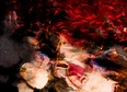 #Cinematic's tag thumbnail