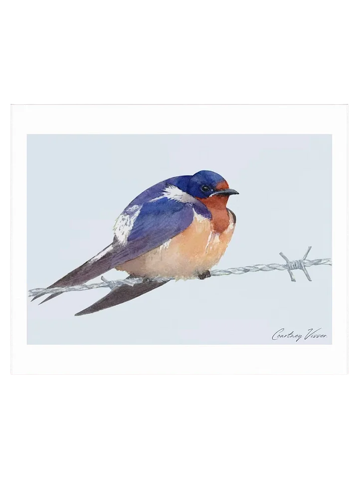 Barn swallow print product image (2)