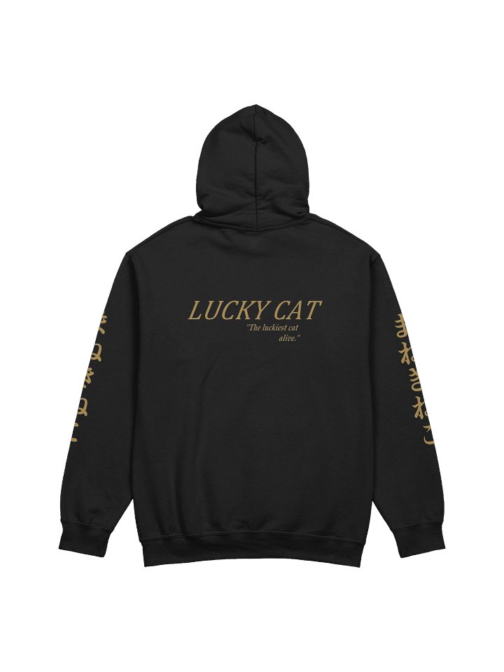 The Luckiest Cat Alive ~ Hoodie product image (15)