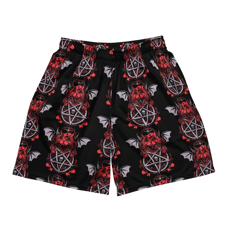 Lucy Purr Shorts product image (1)