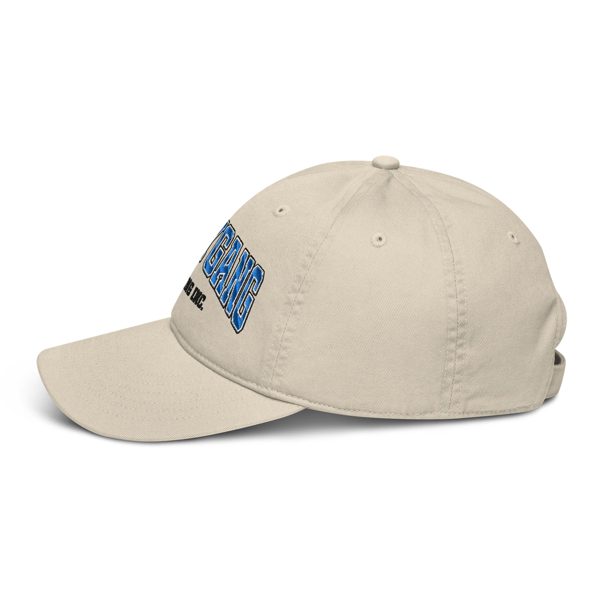University Hat product image (4)
