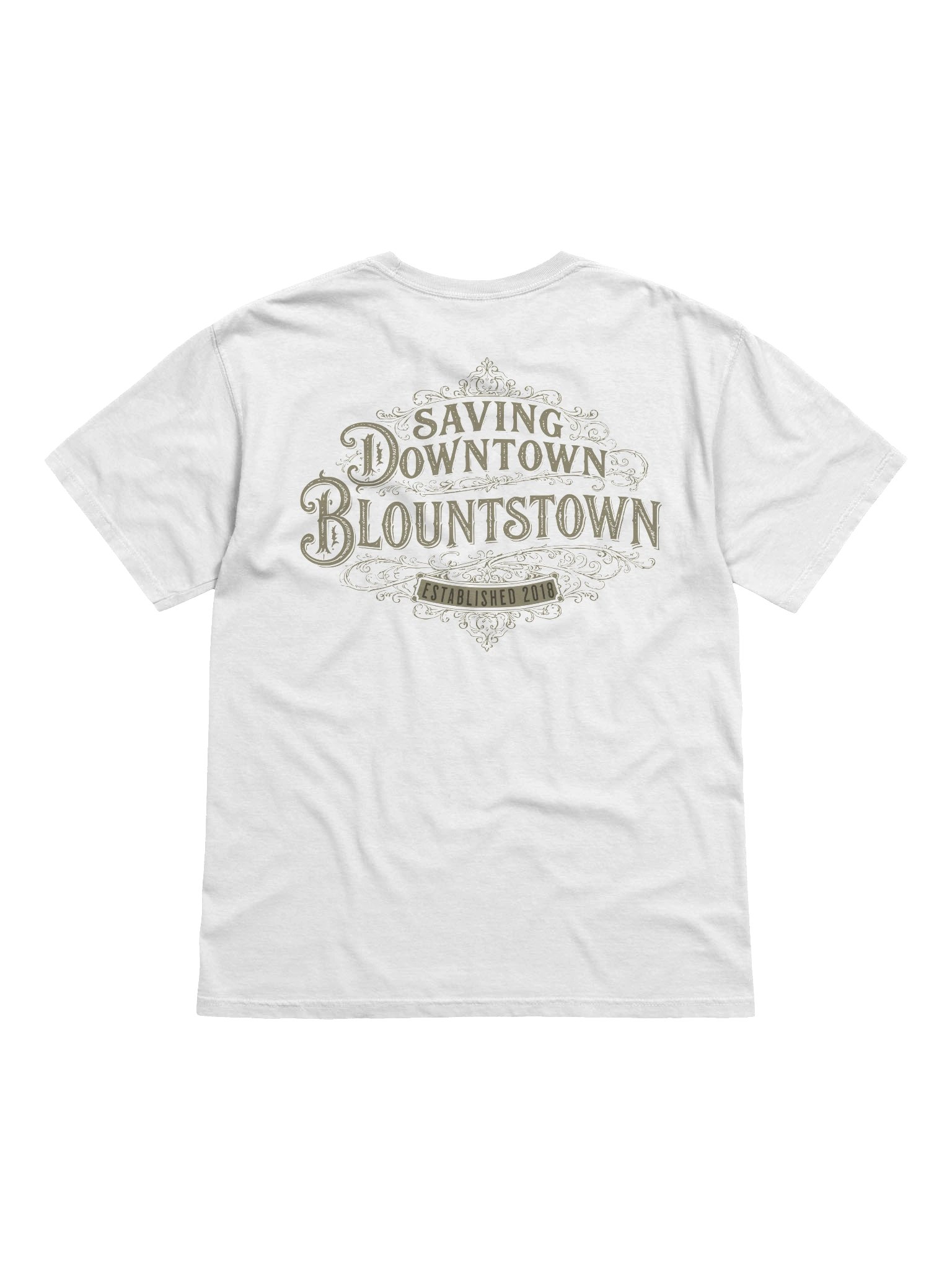 Saving Downtown Blountstown Comfort Colors Tee product image (11)
