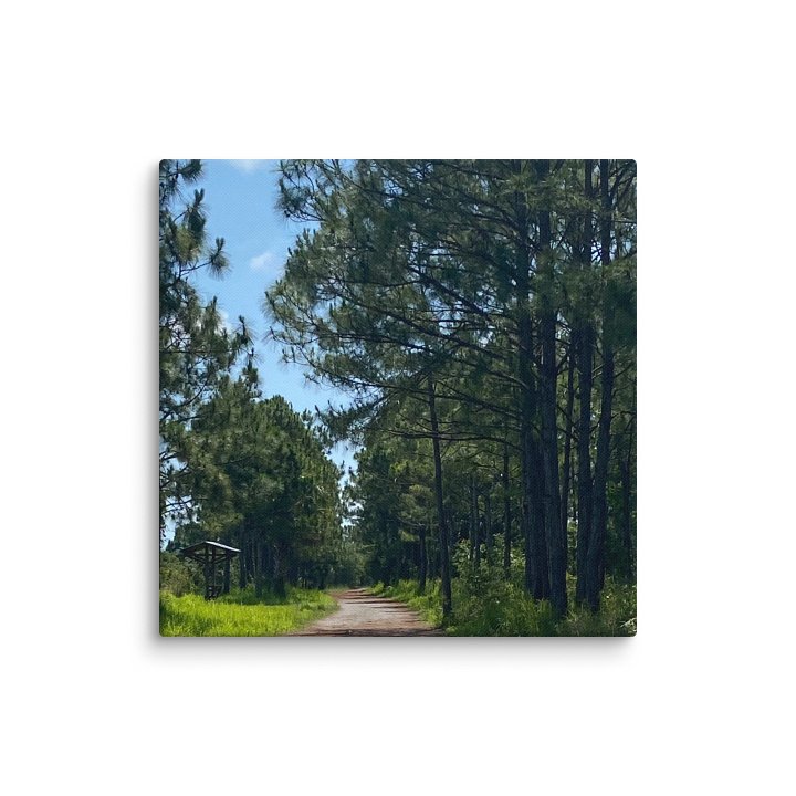 Wanderlust Canvas Collection product image (1)