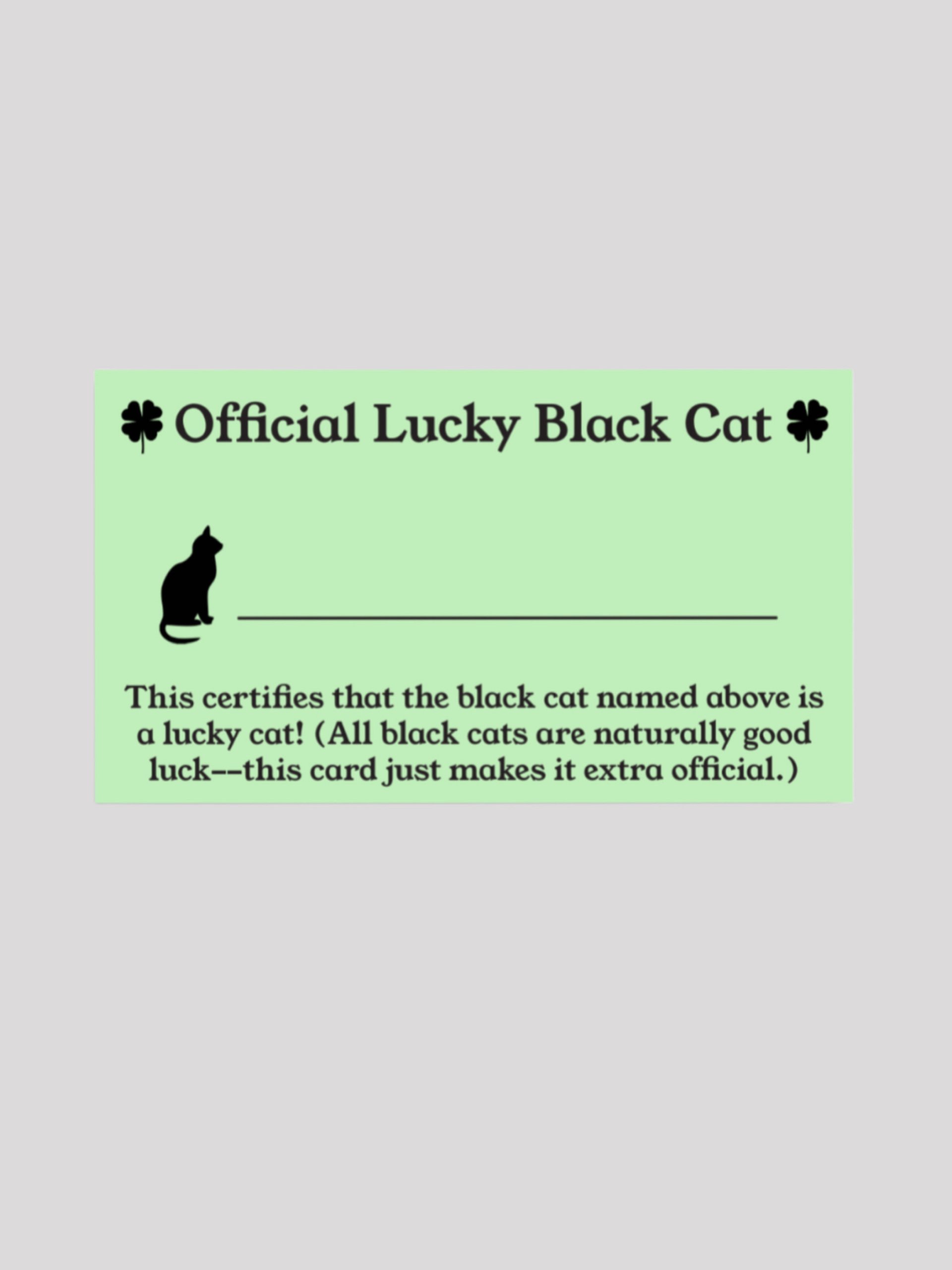 Official Lucky Black Cat card product image (1)