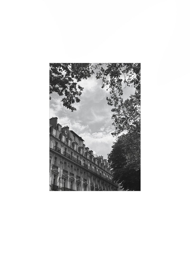 Toits ciel parisien dé-saturé (impression) product image (1)