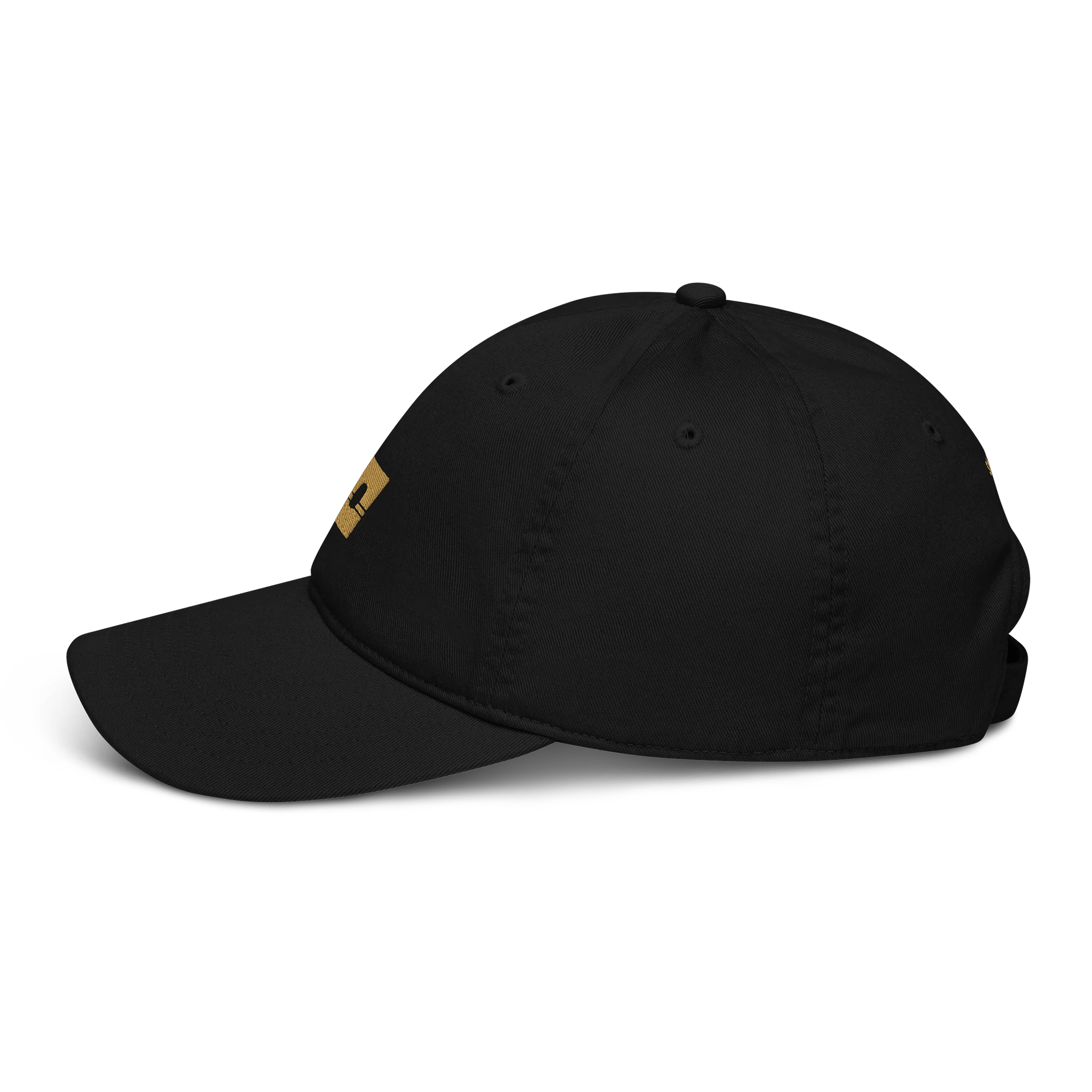 Logo Hat 002 product image (4)