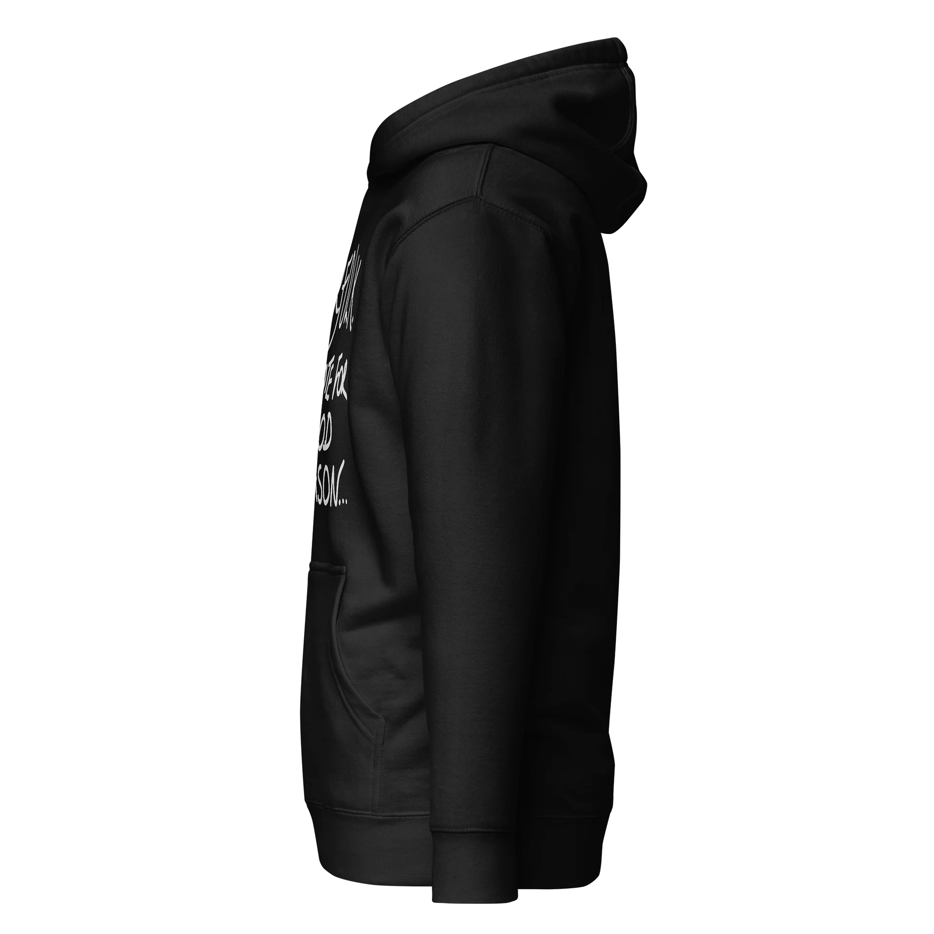 Norfolk. Remote for Good Reason. Premium Hoodie product image (6)