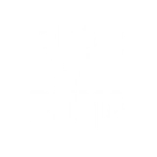 bearandpuma