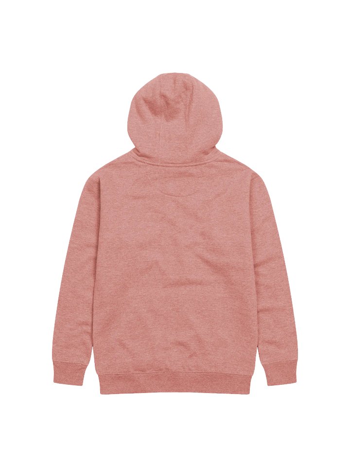 Light Embroidered CXXL Hoodies product image (2)