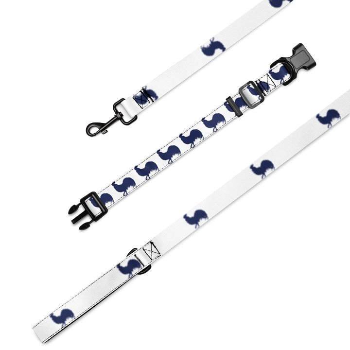VBC Pet Leash & Collar product image (2)