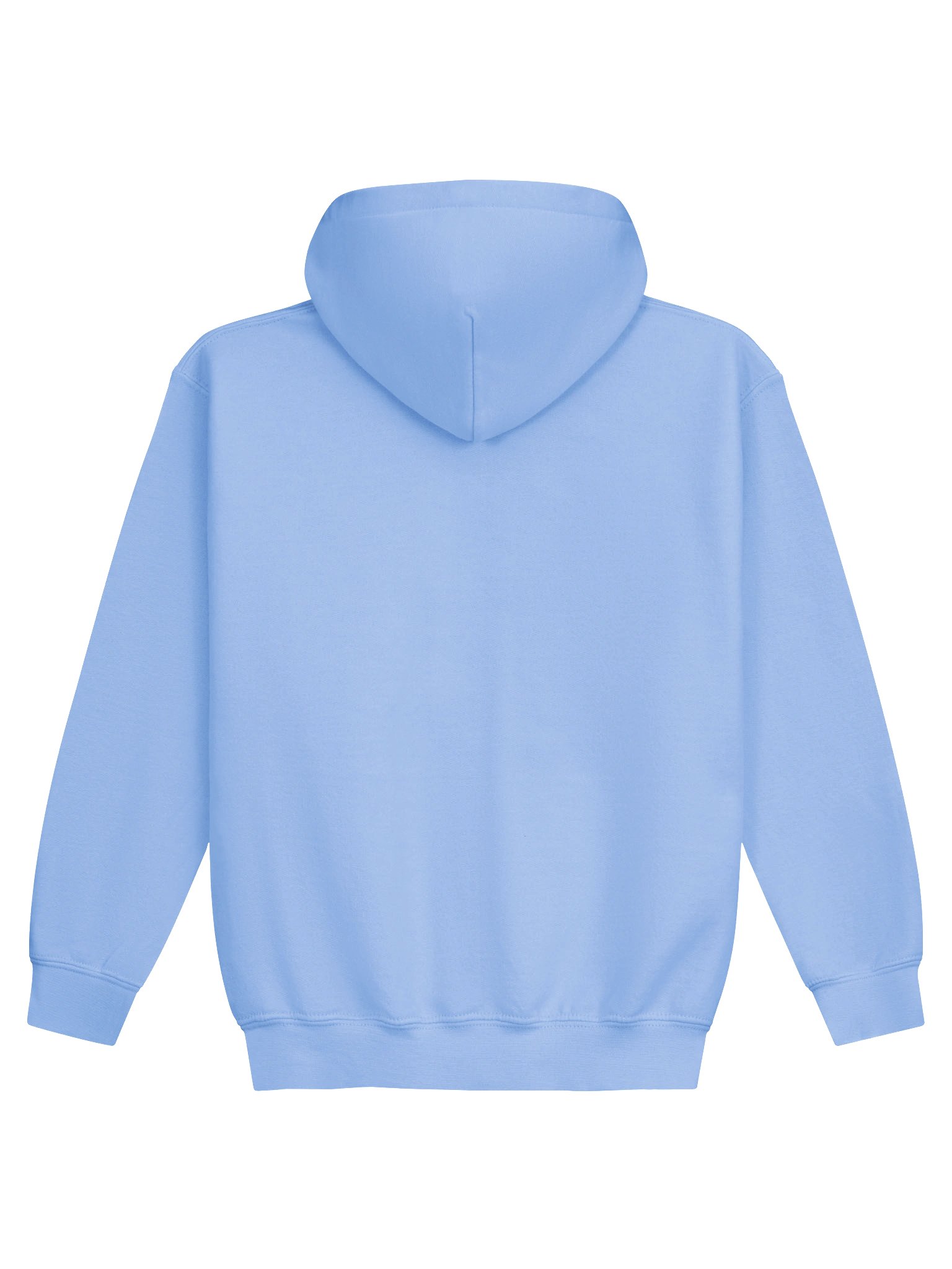 Raised At The Ballpark Youth Hoodie product image (2)
