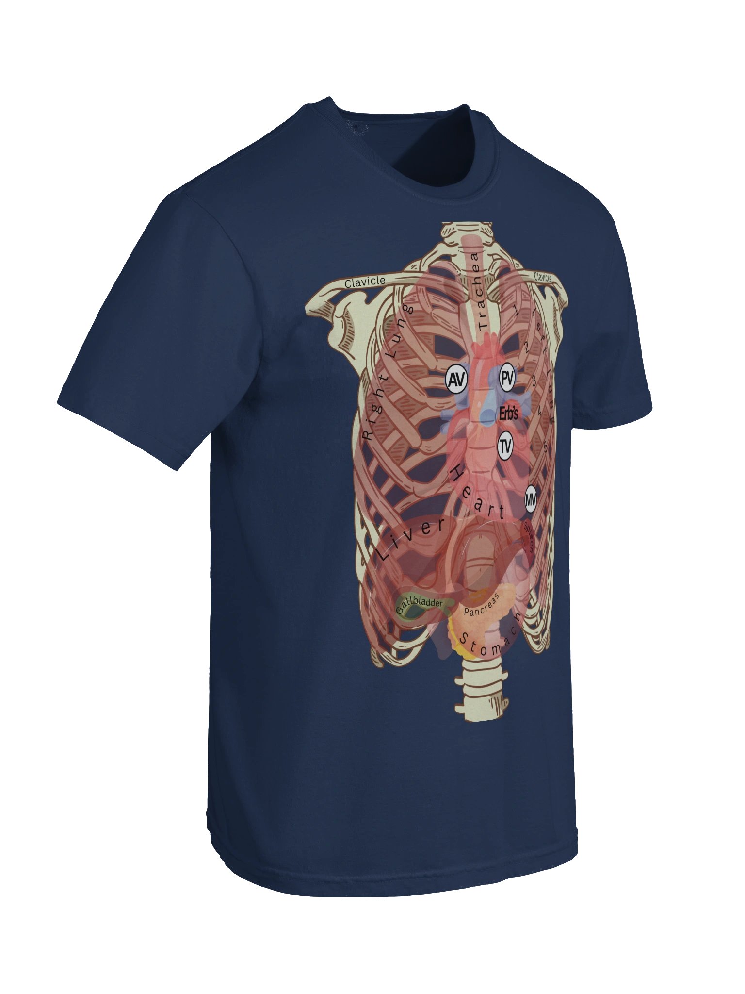 Heart Auscultation Points Anatomy Shirt | Internal Organs & Body Anatomy T-Shirt for Nursing Students by Nurse Sarah ® product image (78)