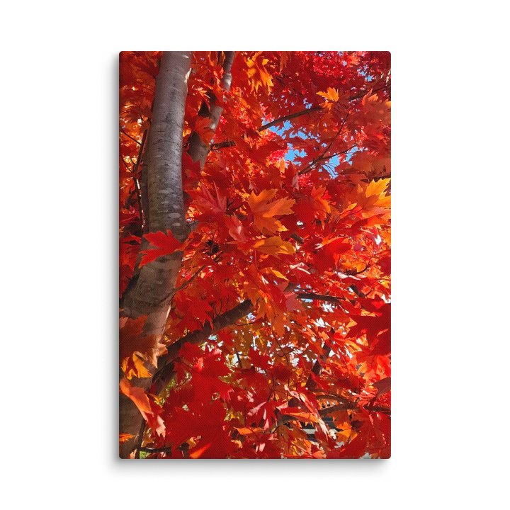 Fall Tree Canvas Collection product image (2)