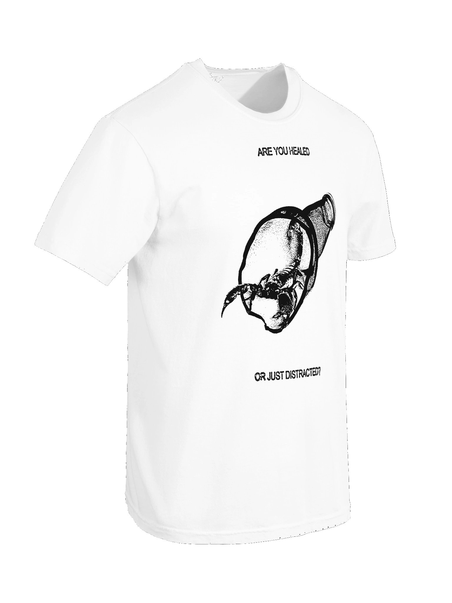 HEALED/DISTRACTED T-SHIRT product image (6)