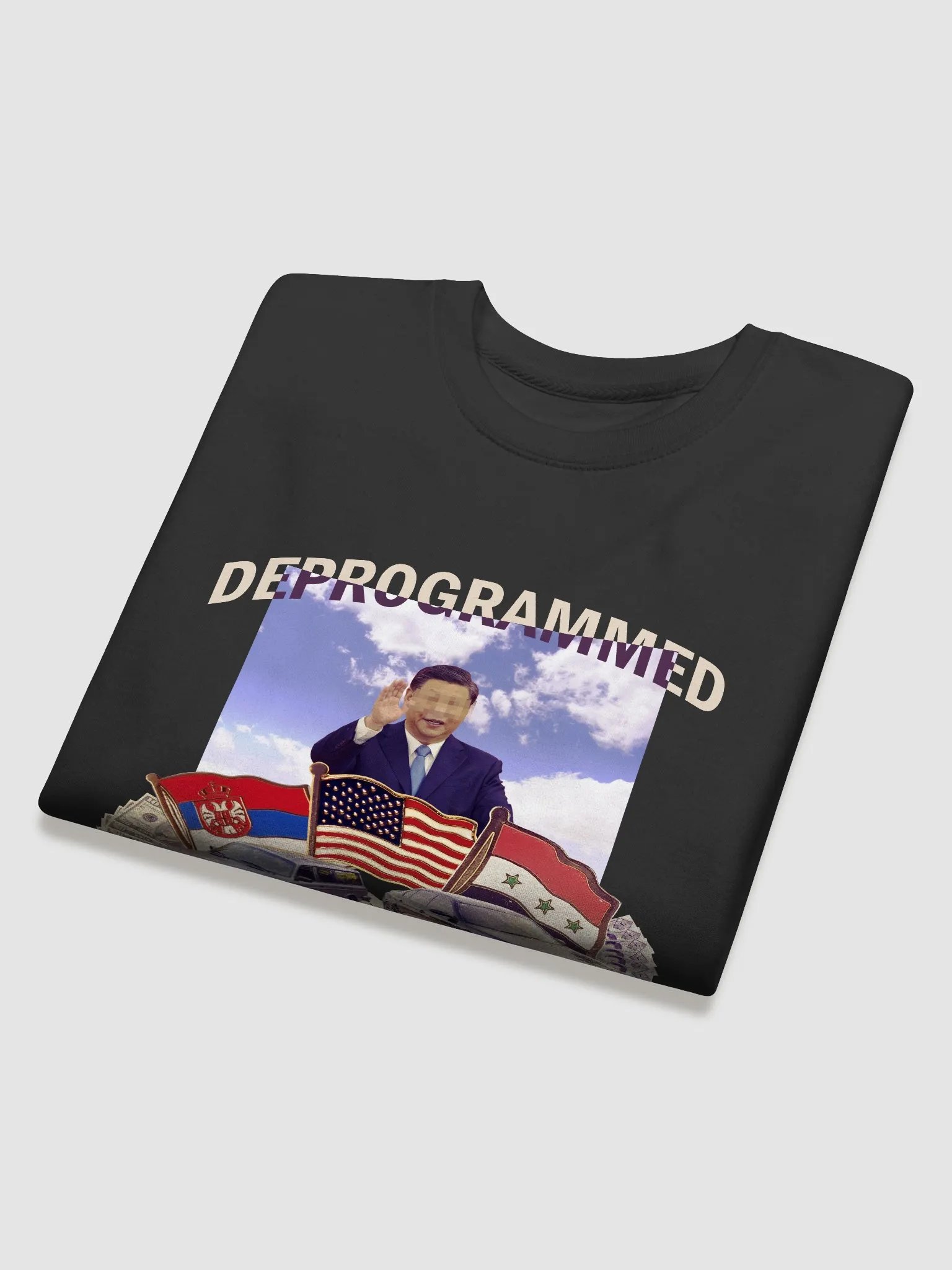 Deprogram Unhinged - Sweatshirt product image (14)