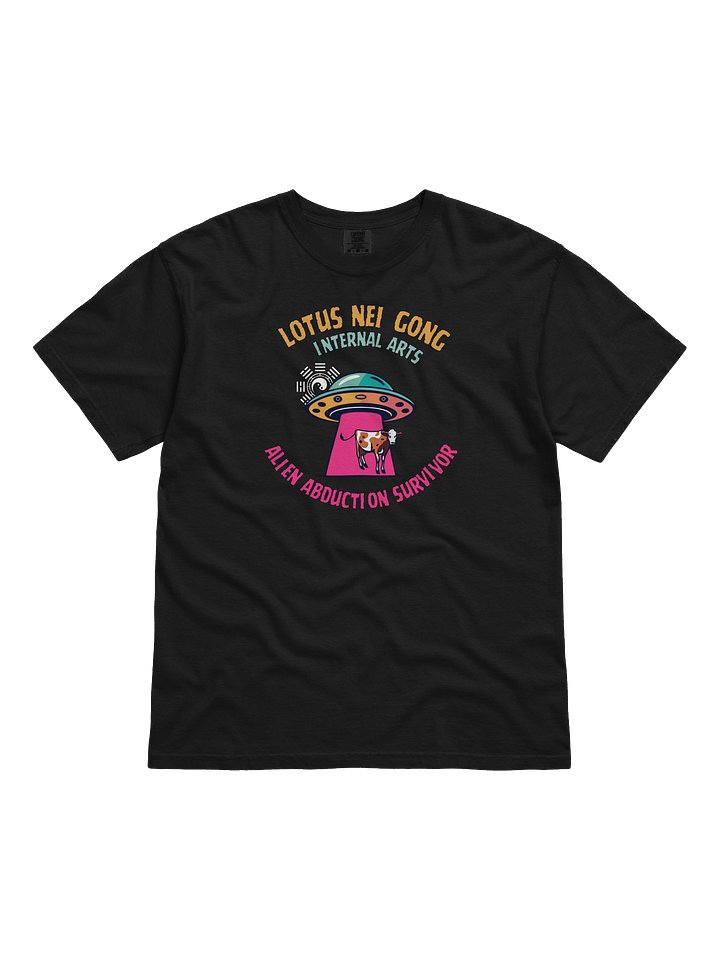 Abductee T Shirt product image (1)