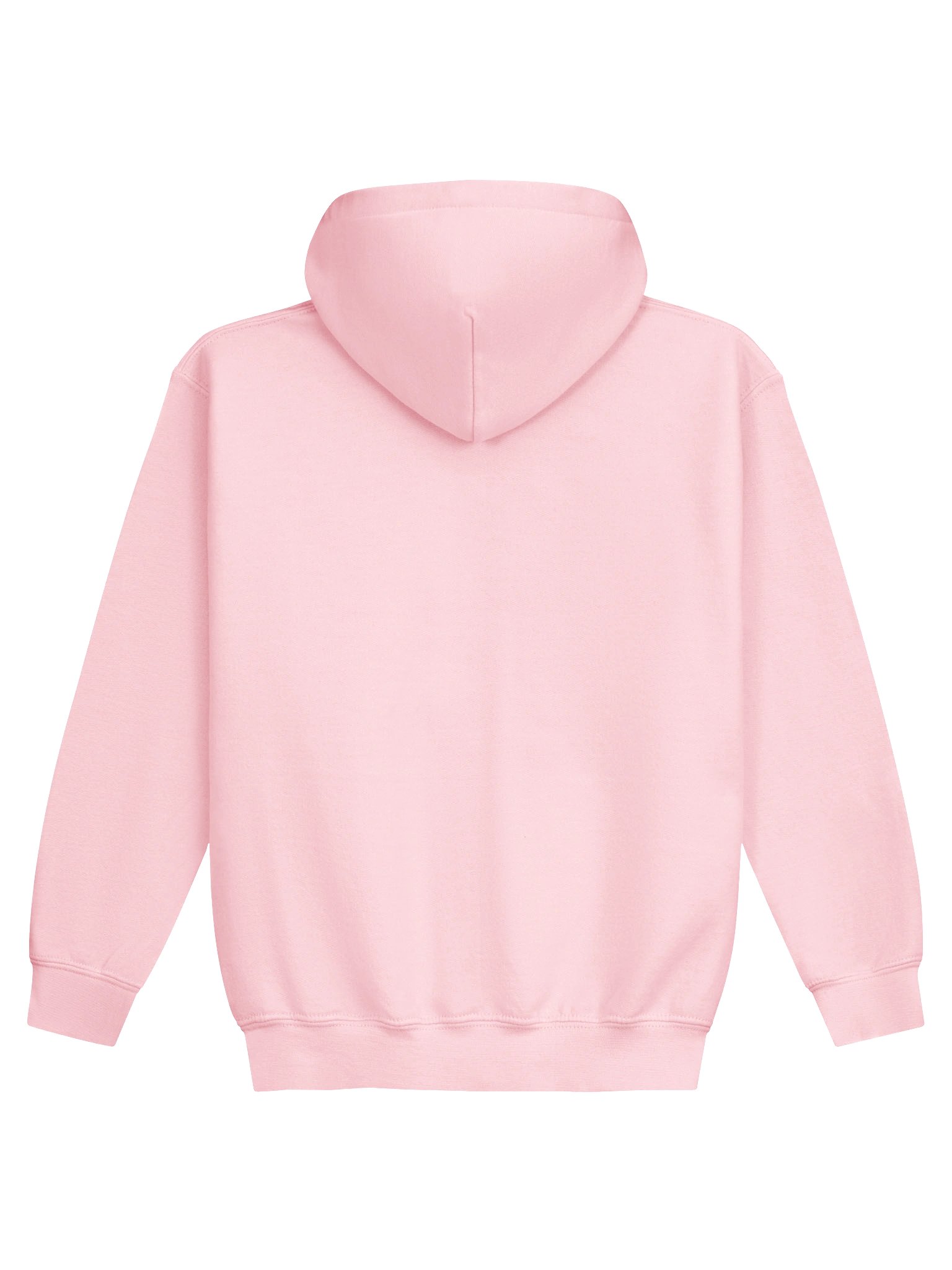 Some Best Friends Have Four Legs Youth Hoodie product image (4)