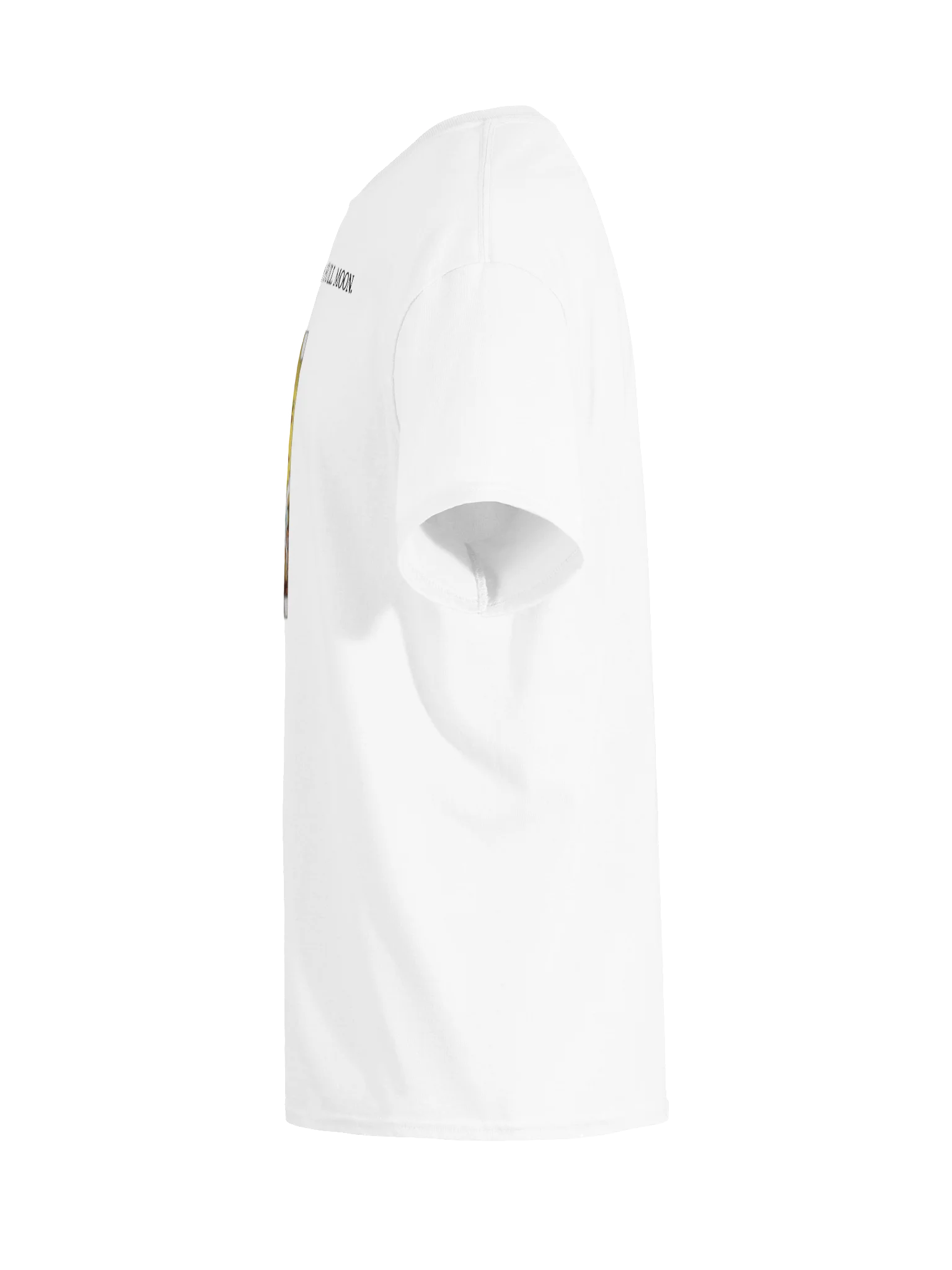 YOUR HONOR IT WAS A FULL MOON. product image (119)