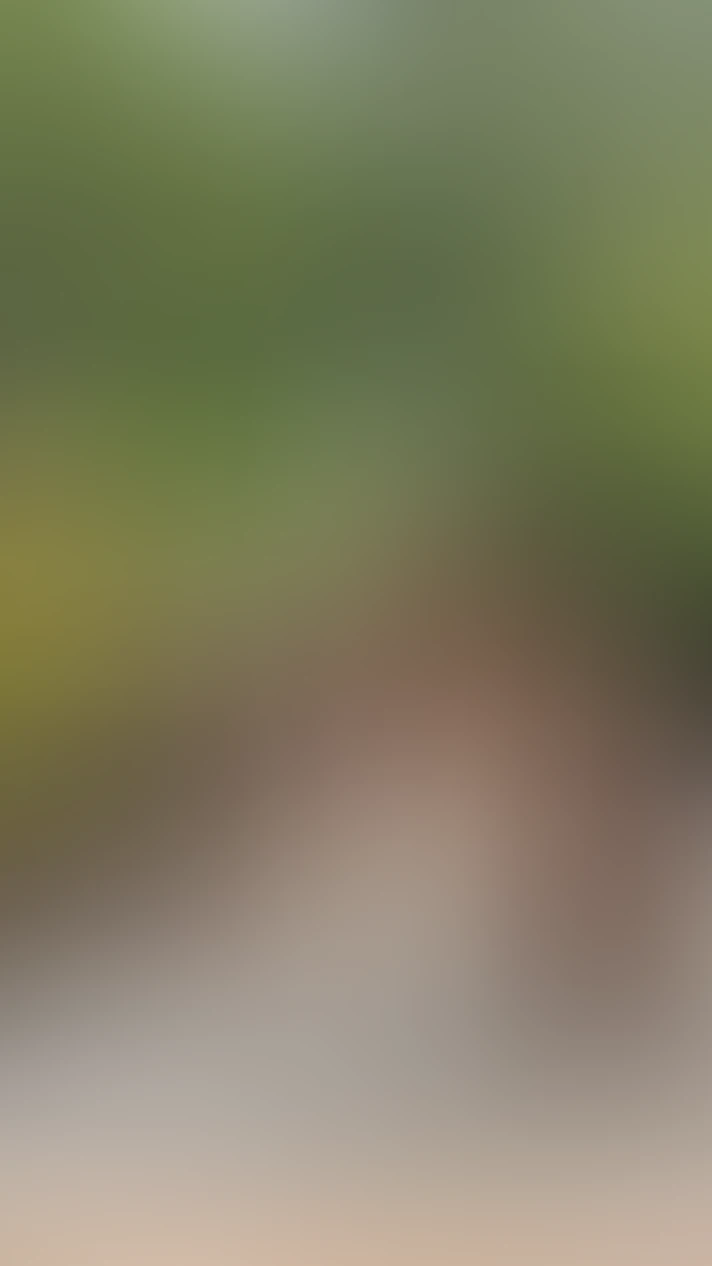 Video thumbnail background