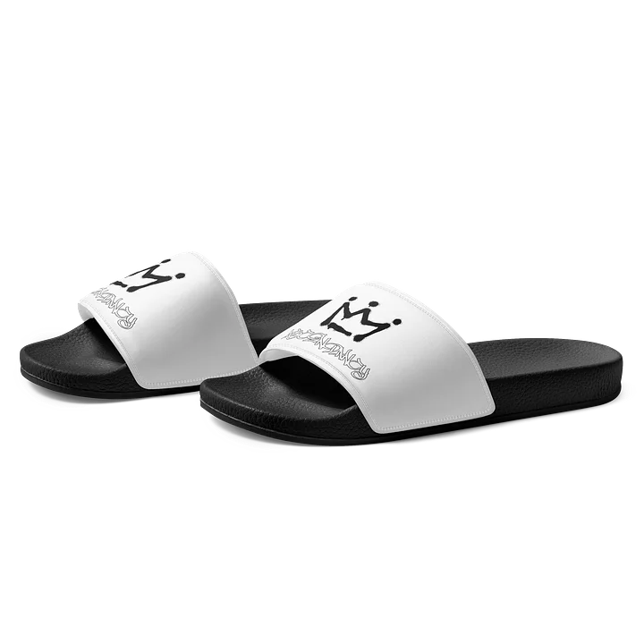 ASCENDANCY Sliders // Logo Black product image (2)