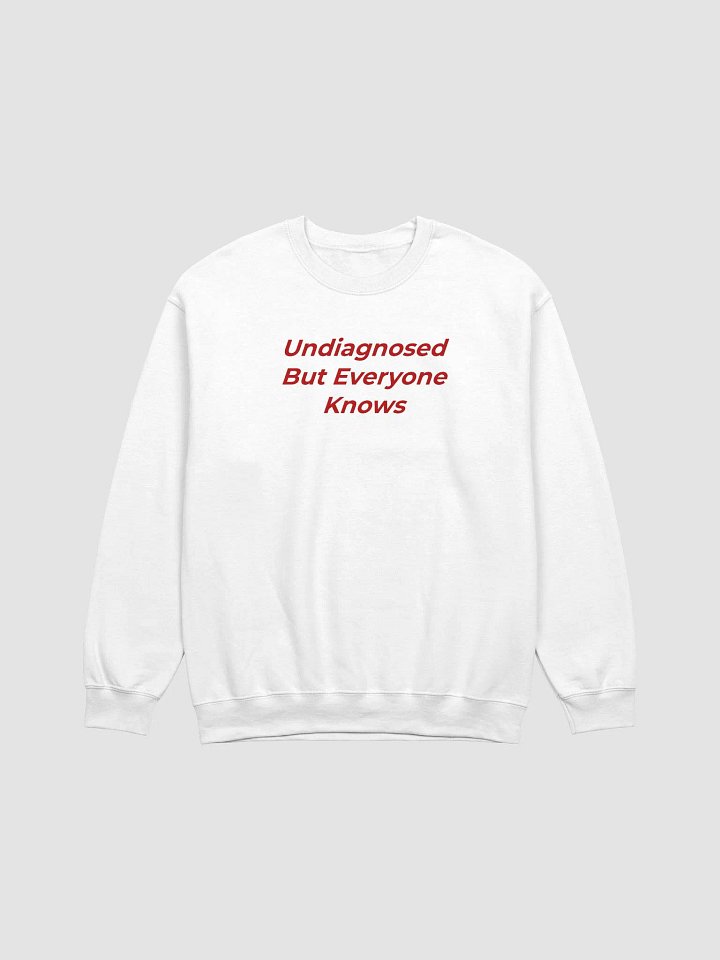 Undiagnosed But Everyone Knows Sweatshirt product image (1)