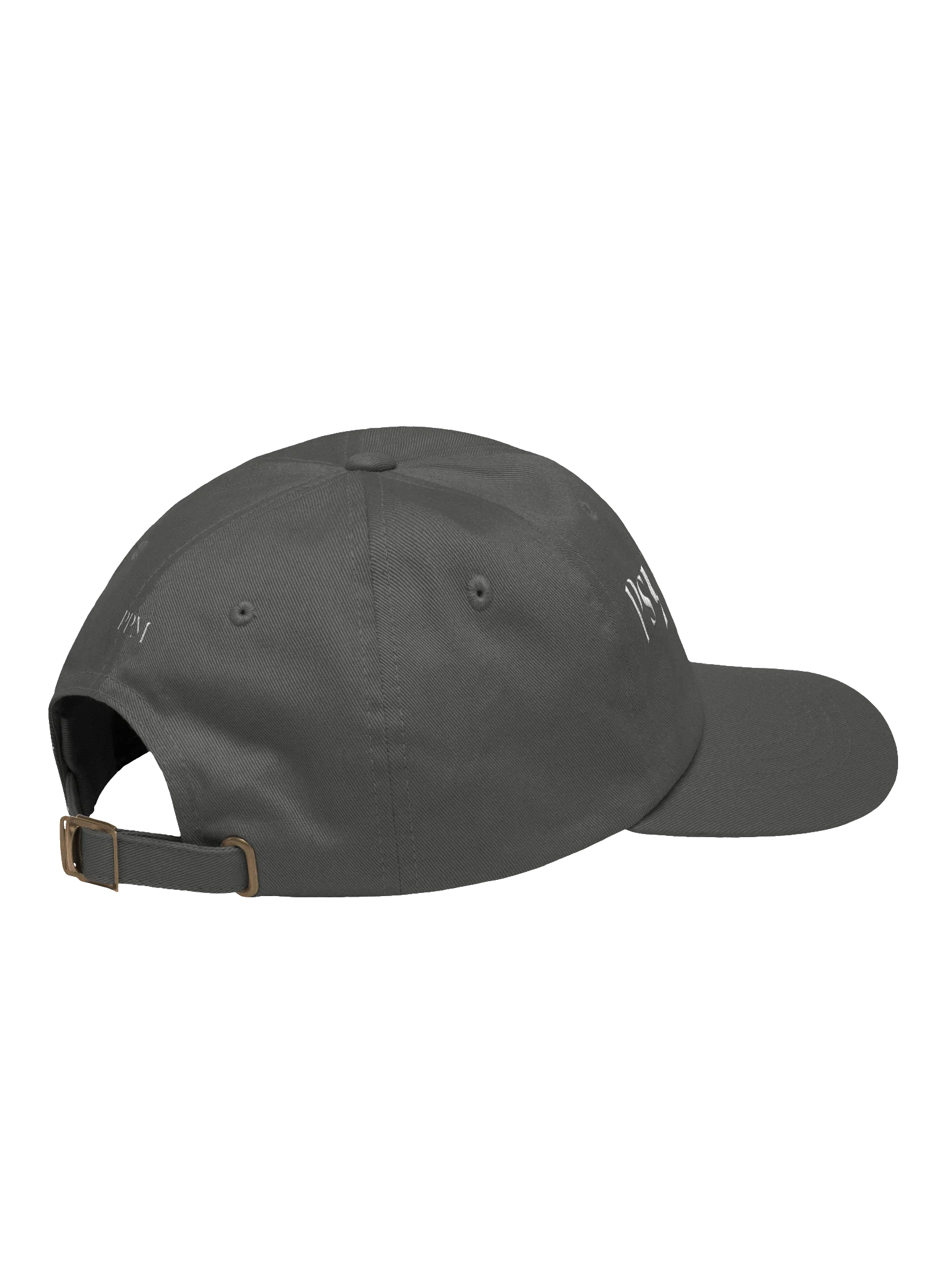 Psychedelic Pathways Logo Cap product image (12)