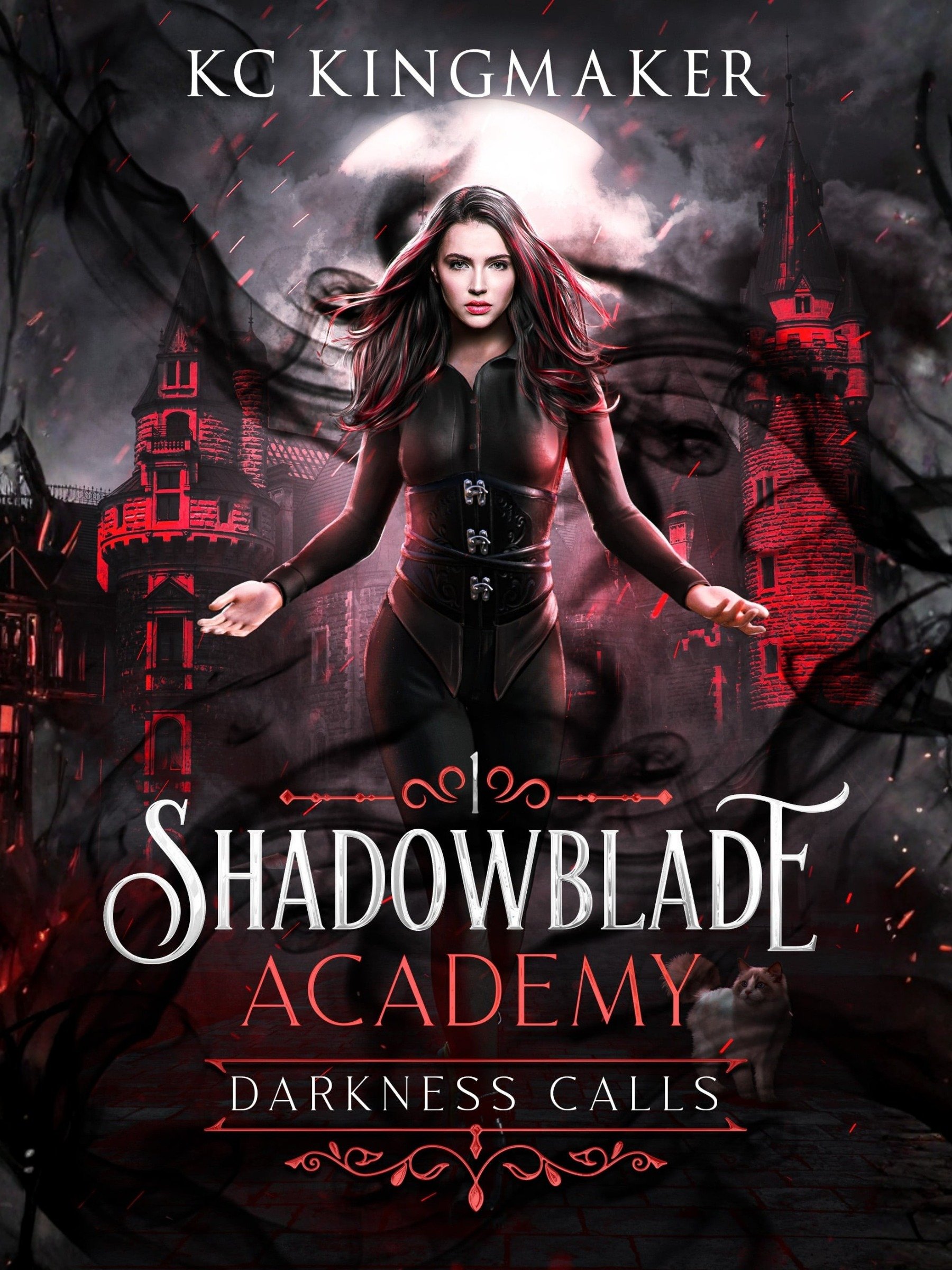 Shadowblade Academy 1: Darkness Calls product image (1)