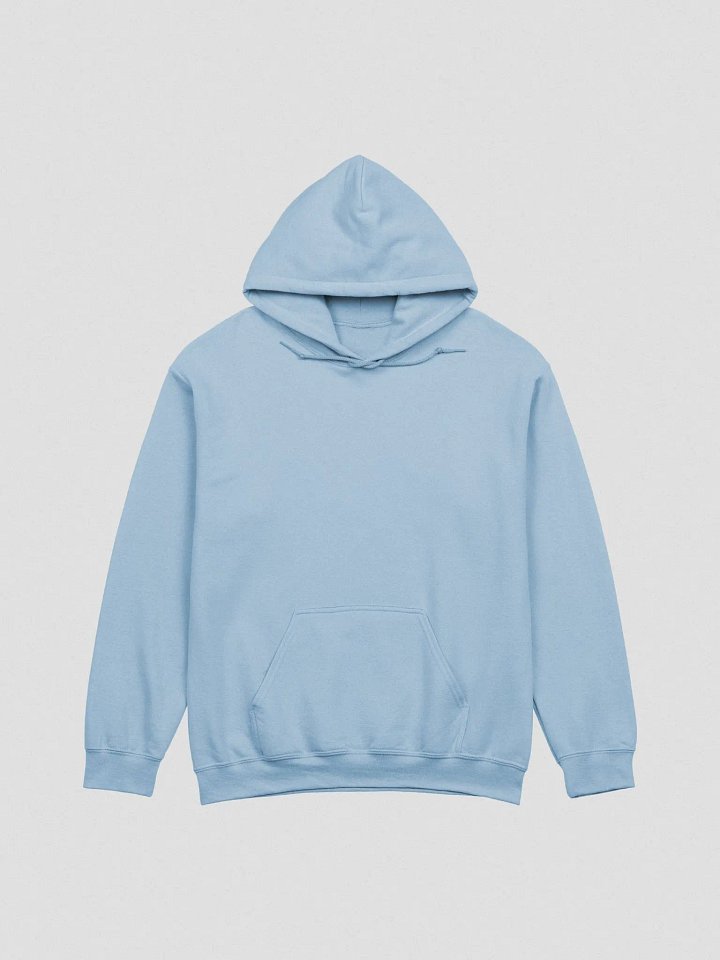 Lost Cat Large Back Logo Hoodie product image (4)